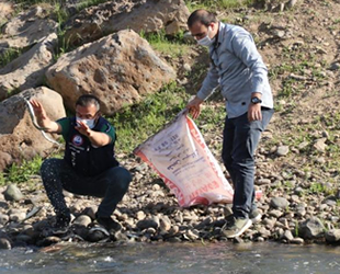 Erciş’te kaçak avlanılan canlı inci kefalleri suya geri bırakıldı
