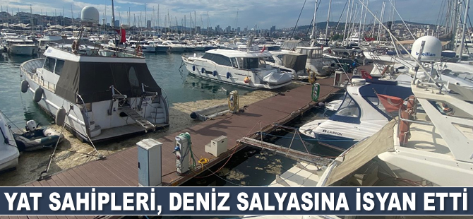 Yat sahipleri, deniz salyasına isyan etti