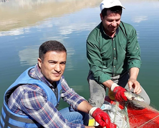 Sazangillerin av yasağı devam ediyor