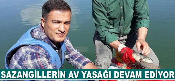 Sazangillerin av yasağı devam ediyor
