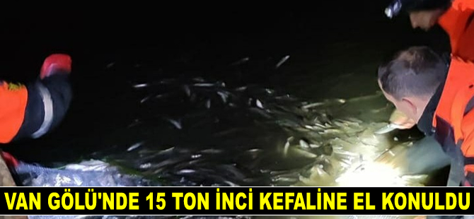 Van Gölü'nde 15 ton inci kefali kurtarıldı