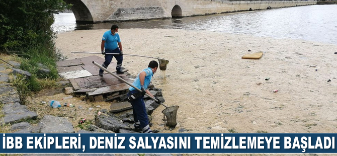 İBB ekipleri, deniz salyasını temizlemeye başladı