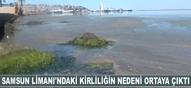 Samsun Limanı'ndaki kirliliğin nedeni ortaya çıktı