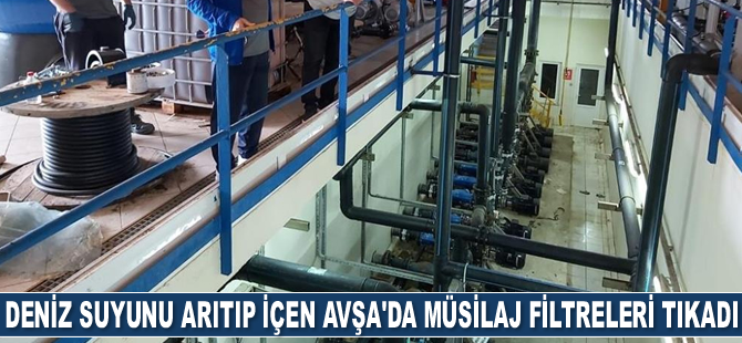 İçme suyunu denizden karşılayan Avşa’da müsilaj filtreleri tıkadı