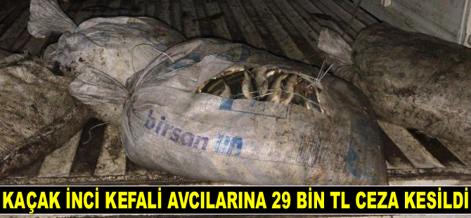 Van’da kaçak inci kefali avcılarına 29 bin TL ceza kesildi