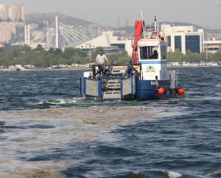 İzmit Körfezi’nde 150 ton deniz salyası toplandı