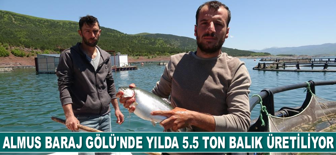 Almus Baraj Gölü’nde yılda 5.5 ton balık üretiliyor