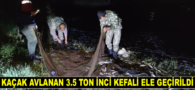 Van Gölü'nde kaçak avlanan 3.5 ton inci kefali ele geçirildi