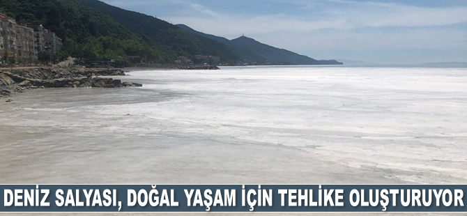 Marmara’daki deniz salyası, doğal yaşam için tehlike oluşturuyor