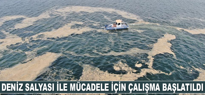Deniz salyası ile mücadele için çalışma başlatıldı