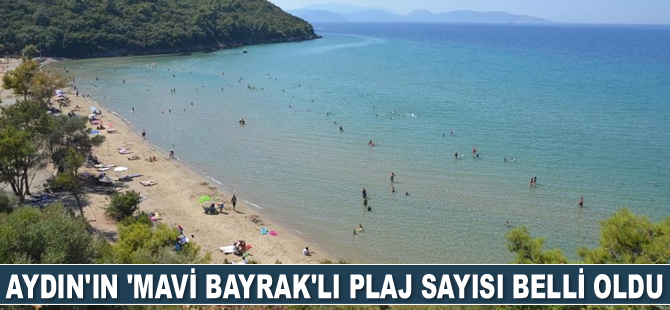 Aydın’ın 'Mavi Bayrak'lı plaj sayısı belli oldu