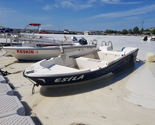 Çınarcık sahili deniz salyası ile kaplandı