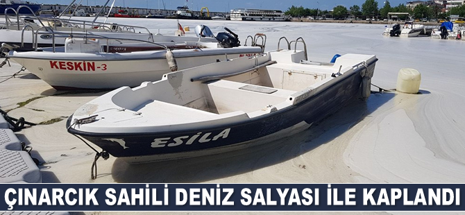 Çınarcık sahili deniz salyası ile kaplandı