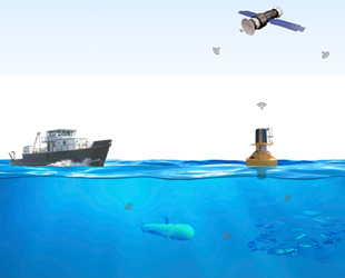 Türkiye’nin mavi suları karış karış inceleniyor