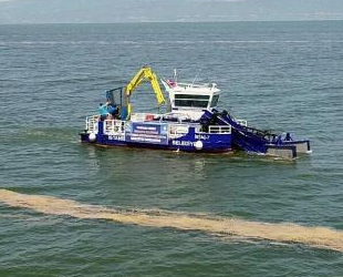 Mudanya’da deniz salyası temizliği başladı