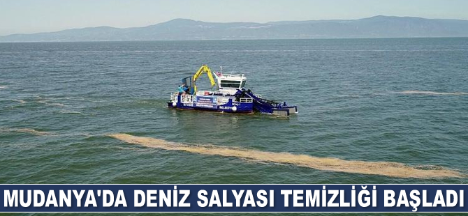 Mudanya’da deniz salyası temizliği başladı