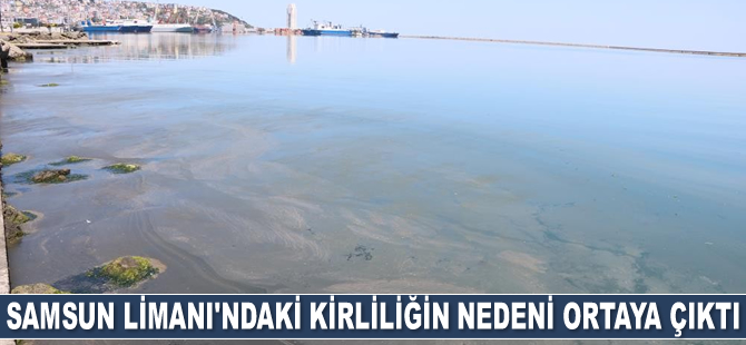 Samsun Limanı'ndaki kirliliğin nedeni ortaya çıktı