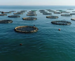 Anamur'da balık çiftliklerine Danıştay 'Dur' dedi