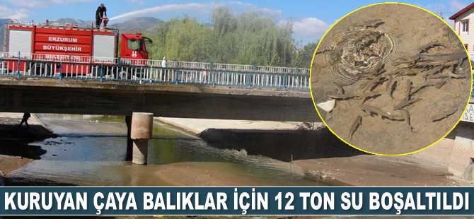 Oltu Çayı’na balıklar için 12 ton su boşaltıldı