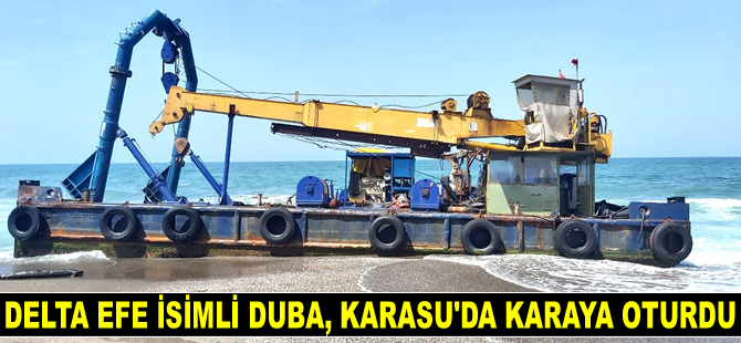 Delta Efe isimli duba, Karasu’da karaya oturdu