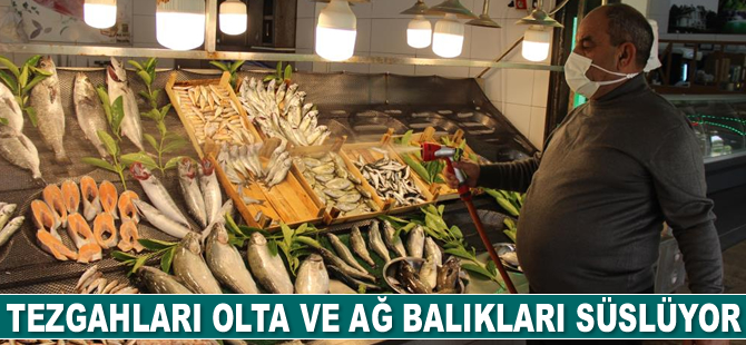 Tezgahları olta ve ağ balıkları süslüyor