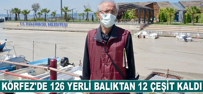 Körfez’de 126 yerli balıktan 12 çeşit kaldı