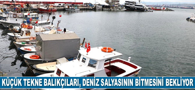 Küçük tekne balıkçıları, deniz salyasının bitmesini bekliyor