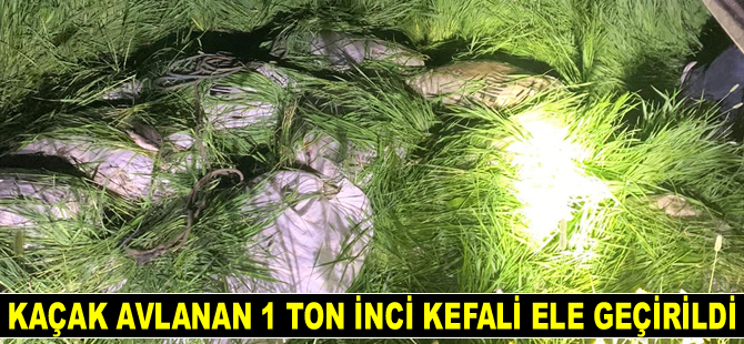 Kaçak avlanan 1.2 ton inci kefali ele geçirildi