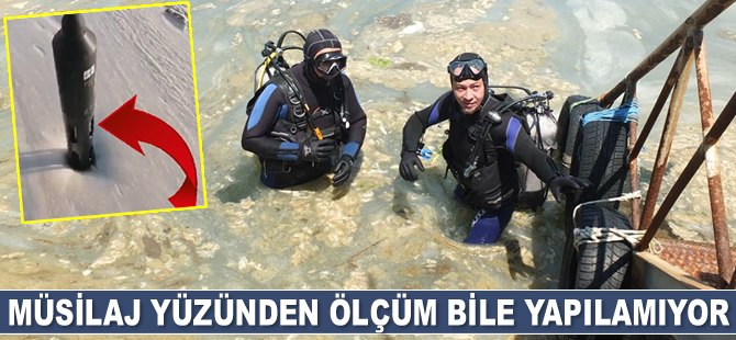 Müsilaj yüzünden Marmara Denizi’nde ölçüm bile yapılamıyor