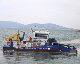 Kartal sahilleri deniz salyasından temizleniyor