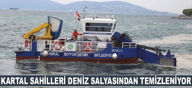 Kartal sahilleri deniz salyasından temizleniyor