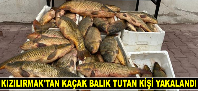 Kızılırmak’tan kaçak balık tutan şüpheli yakalandı