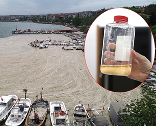 Deniz salyasının ekonomiye kazandırılması için çalışma başlatıldı