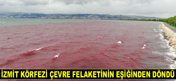 İzmit Körfezi çevre felaketinin eşiğinden döndü