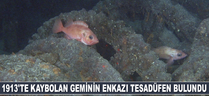 1913'te kaybolan DS Malmberget isimli geminin enkazı tesadüfen bulundu