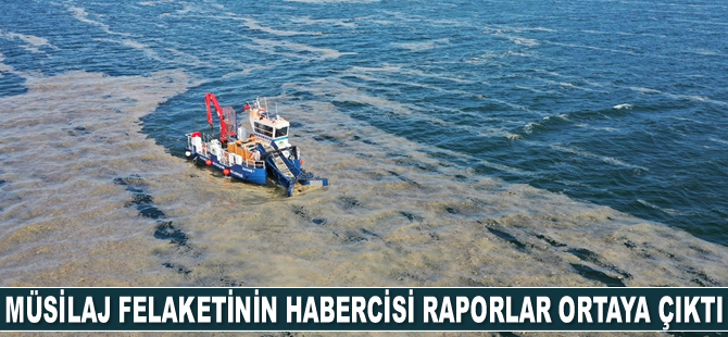 Müsilaj felaketinin habercisi raporlar ortaya çıktı