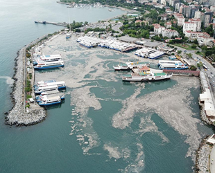 Deniz salyasına karşı ‘Acil Eylem Planı’ hazırlanıyor