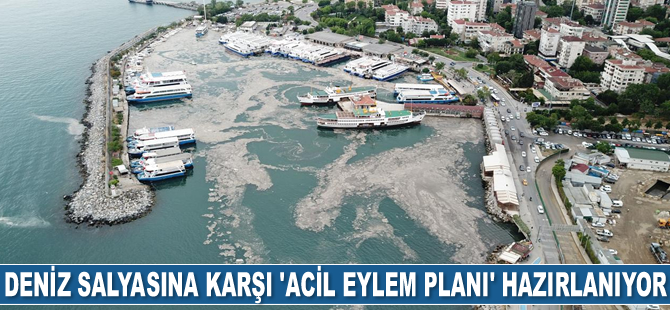 Deniz salyasına karşı ‘Acil Eylem Planı’ hazırlanıyor