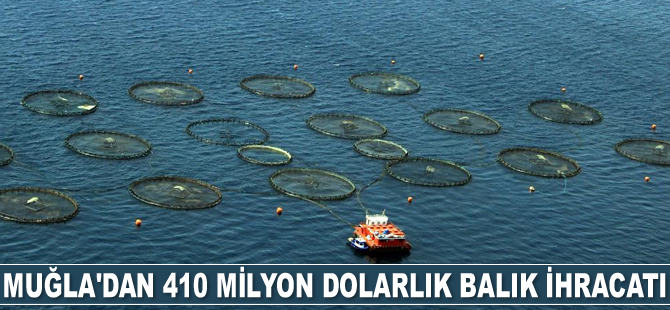 Muğla’dan 410 milyon dolarlık balık ihracatı gerçekleştirildi