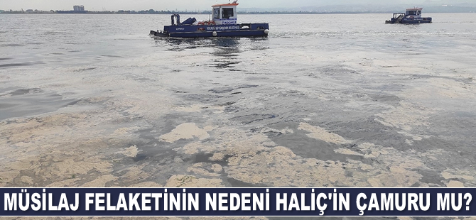 Marmara’daki müsilaj felaketinin nedeni Kurbağalıdere ve Haliç’in çamuru mu?