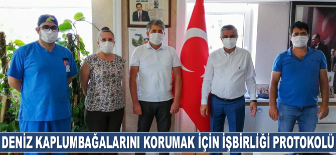Deniz kaplumbağalarını korumak için işbirliği protokolü imzalandı