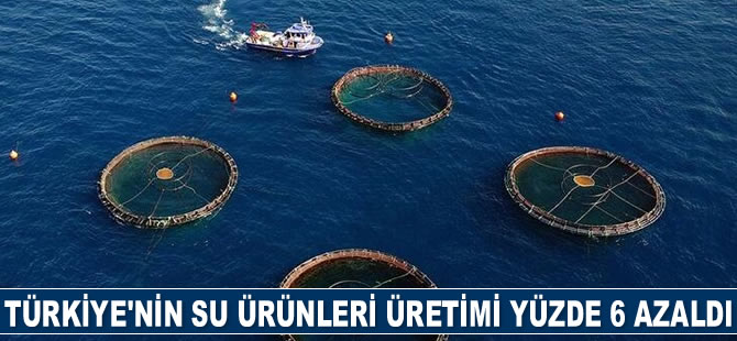 Türkiye'nin su ürünleri üretimi yüzde 6 azaldı