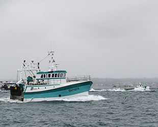 AB ve İngiltere, 2021 yılı için balıkçılık kotalarında anlaştı