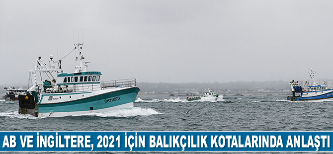 AB ve İngiltere, 2021 yılı için balıkçılık kotalarında anlaştı