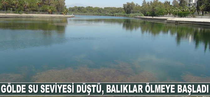 Titreyengöl’de su seviyesi düştü, balıklar ölmeye başladı