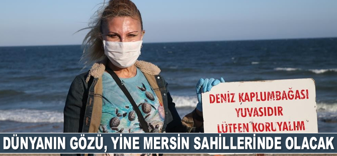 Mersin sahilleri, bu yıl da caretta carettaları ağırlıyor