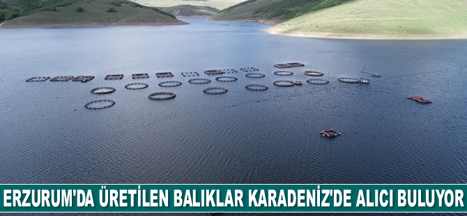 Erzurum'da üretilen balıklar Karadeniz'de alıcı buluyor