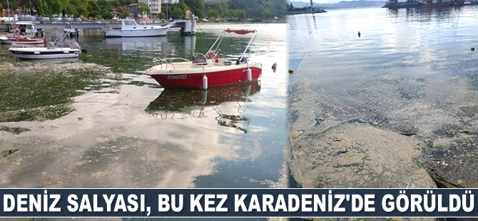 Deniz salyası, bu kez Karadeniz'de görüldü