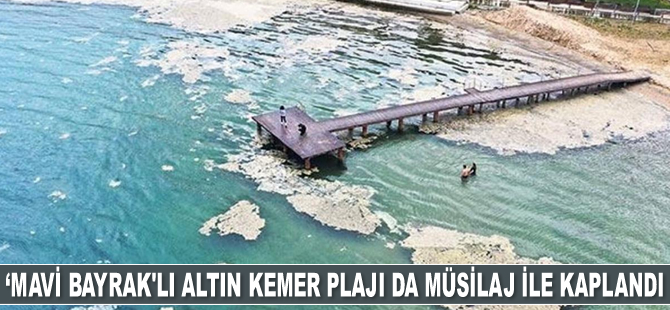 ‘Mavi Bayrak’lı Altın Kemer Plajı da müsilaj ile kaplandı