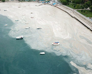 Deniz salyası sorununun çözümü için KBM kuruldu